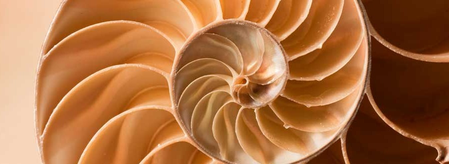 How would you like to wake up to well being everyday?