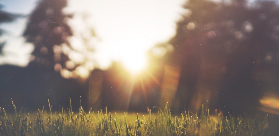 Wake up to wellbeing: Your invitation