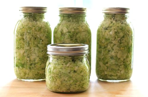 Sexy sauerkraut: why you should be eating fermented foods