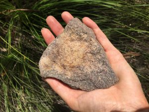 Holding a rock in my palm