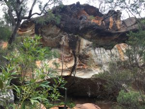 Rock face, Mangrove Mountain